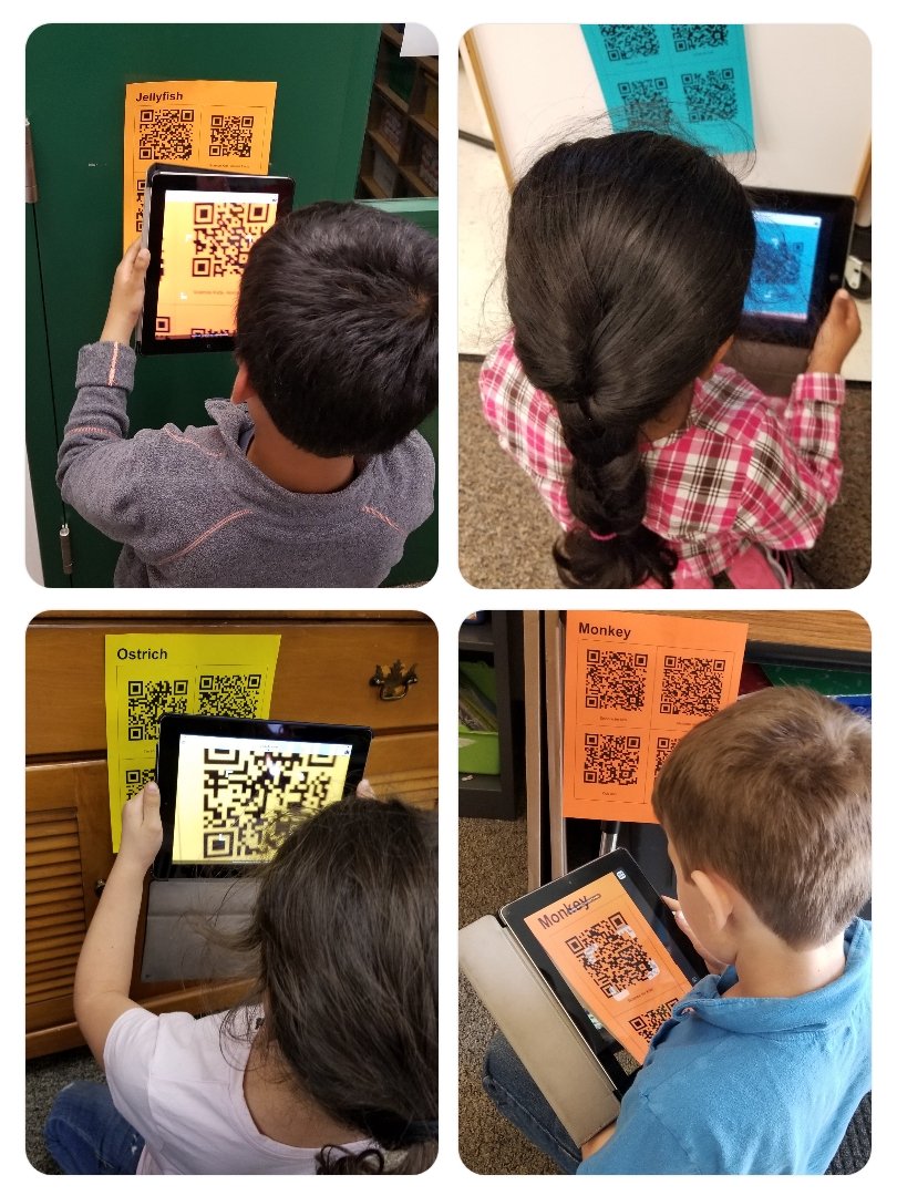 MrsAFV's tweet photo. Using QR Codes to bring us to kid safe sites for our animal research projects! #informativewriting #natgeokids #viewpure #firstgrade https://t.co/yxp5UjSnlo