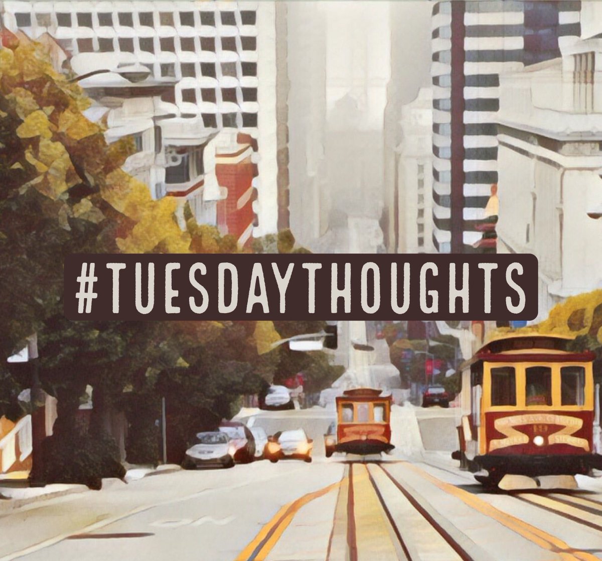 Sheep Productions tweet media