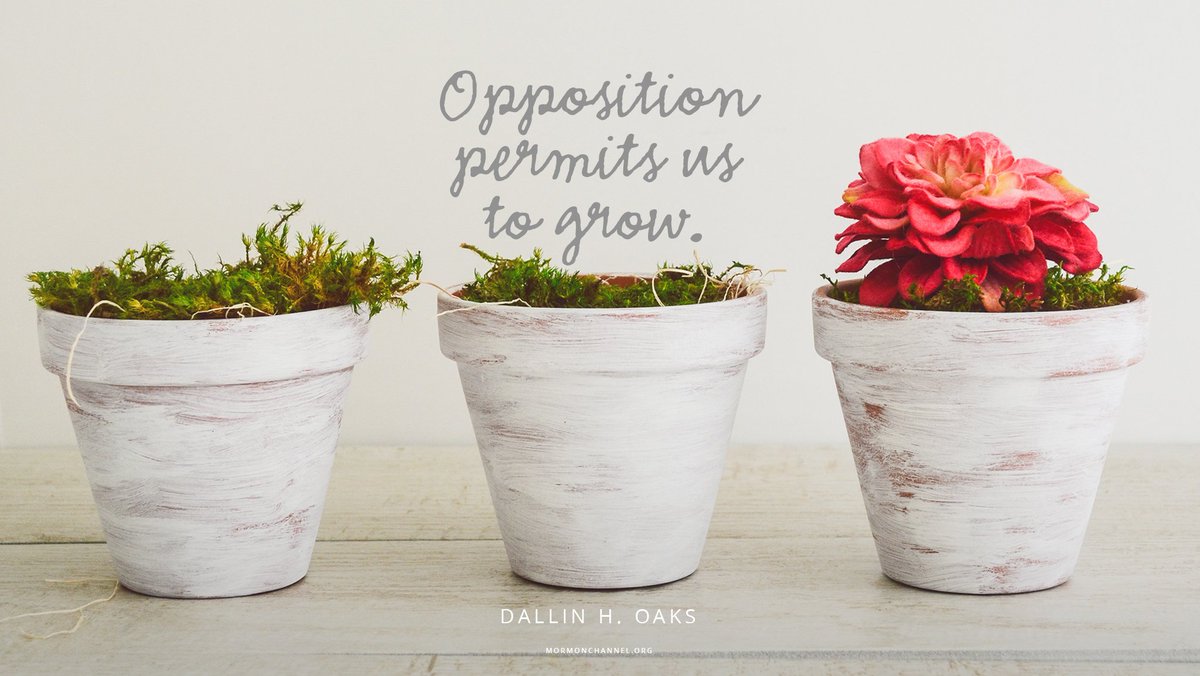 mormonchannel's tweet photo. "Opposition permits us to grow toward what our Heavenly Father would have us become." —Dallin H. Oaks #DailyQuote https://t.co/actytnAlWD