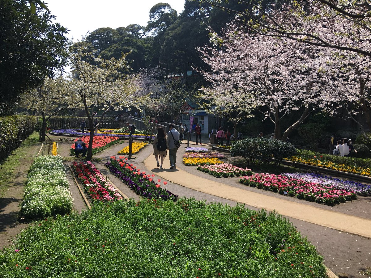 Nature-based sightseeing  such as Flower-viewing #spring shows #diversityisbeautiful & important for #sustainability in nature as well as maintains balance at destinations 
For #planning its an important element of #tourismappeal #japan #inboundambassador #destinationmarketing