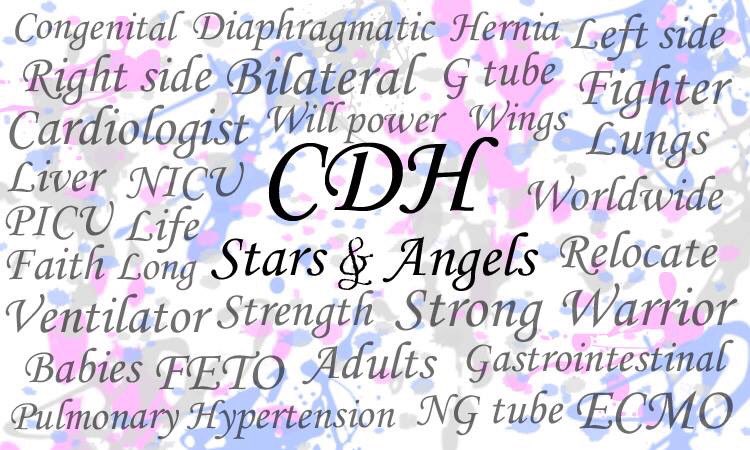 CdhStars tweet picture