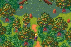 Avarua_'s tweet photo. Ich bin wieder im Jahr 2001. Pokemon Johto gucken und Golden Sun spielen ❤️ #Nostalgie https://t.co/7eDKhmQfT8