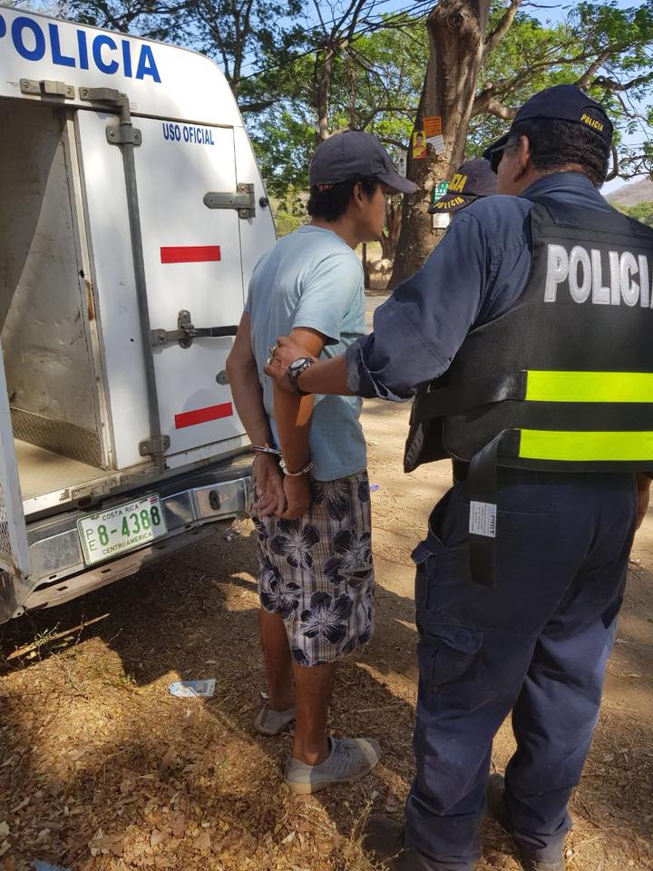 RescateAnimal ZooAve (@rescate_zooave) on Twitter photo Fuerza Pública evitó que pichón de perico muera asfixiado en la cajuela de un automóvil.
Agradecemos a la <a href="/fuerzapublicaCR/">Fuerza Pública CR</a> por el cumplimiento de la #LeyDeVidaSilvestre.
#RescateAnimalZooave #NoCompreVidaSilvestre Fuerza Pública evitó que pichón de perico muera asfixiado en la cajuela de un automóvil.
Agradecemos a la <a href="/fuerzapublicaCR/">Fuerza Pública CR</a> por el cumplimiento de la #LeyDeVidaSilvestre.
#RescateAnimalZooave #NoCompreVidaSilvestre
