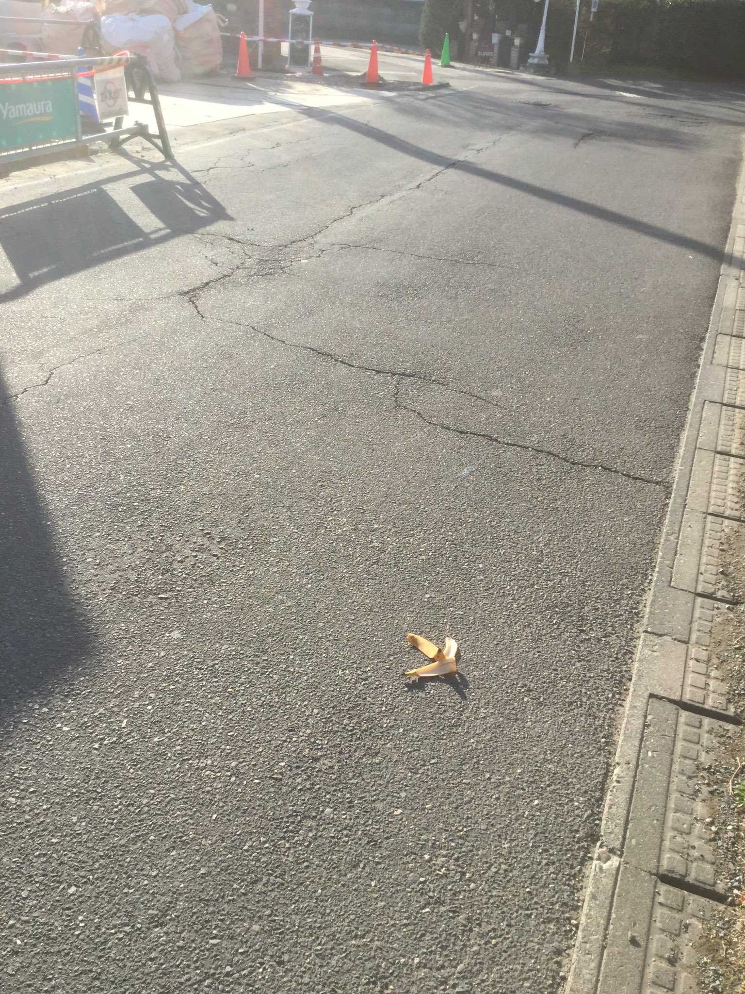 橙次 Toj 親分 Ar Twitter 道路にバナナの皮落ちてた マリオカートかよ 橙次 Toj 親分 Ar Twitter 道路にバナナの皮落ちてた マリオカートかよ