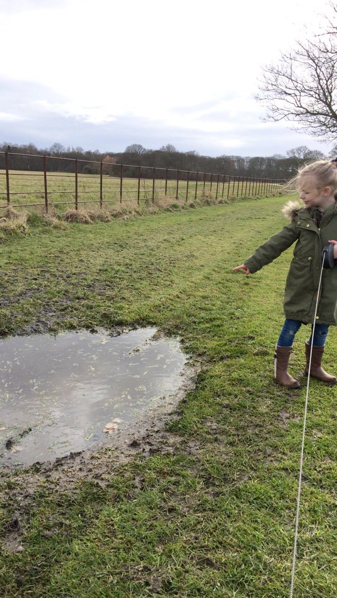 JemmaPownall's tweet photo. @CTKLiverpool1 some more ✅ off the list! Fences don’t move, trees can’t come inside and muddy puddles are squishy! #springscavengerhunt #homework https://t.co/UuRb9rmjb9