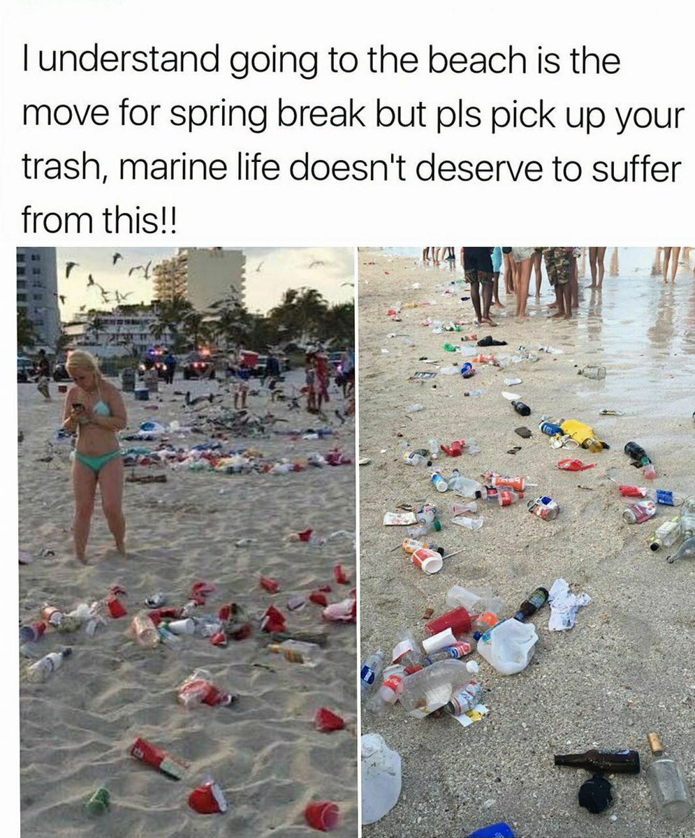 kkwrrd's tweet photo. !!!!! 🦀🦑🐙🦐🐠🐟🐡🐬🦈🐳🐋💙🚯 https://t.co/0MHTwRpqVz