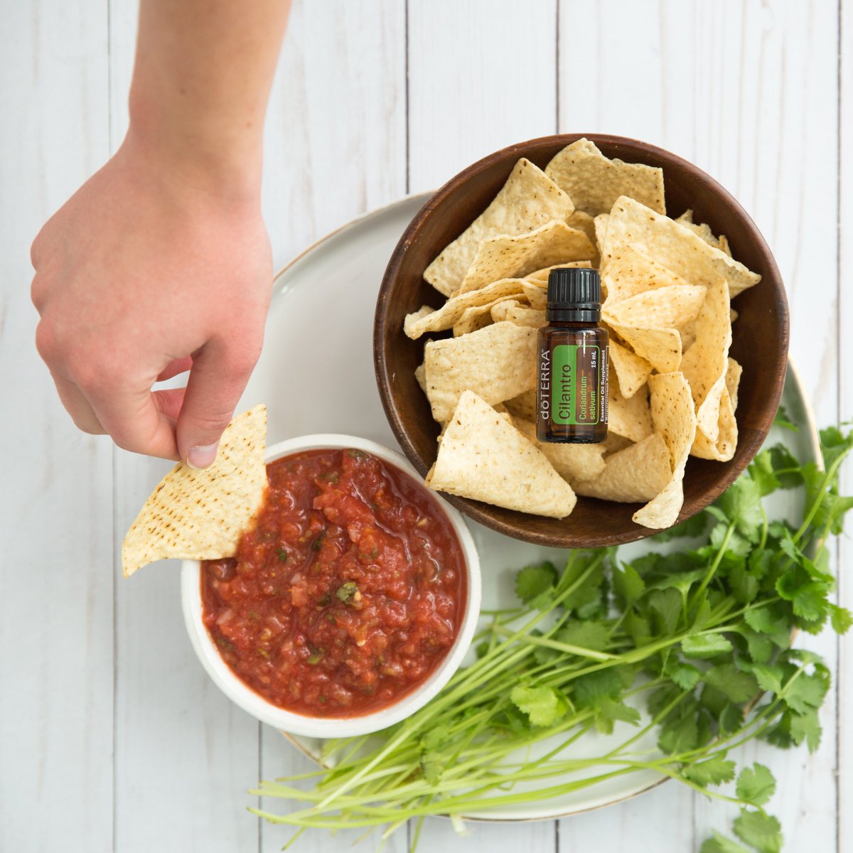 Add Cilantro to your favorite Salsa Recipe for an exciting burst of flavor. One drop and done! 
#tacotuesday
