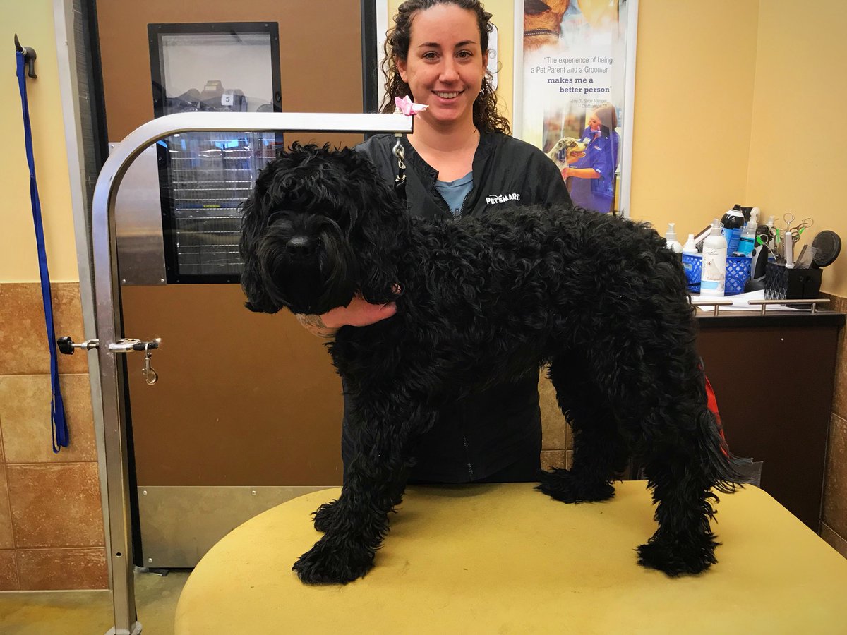 petsmart2480 tweet media