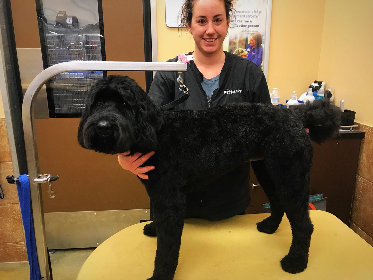 petsmart2480 tweet media