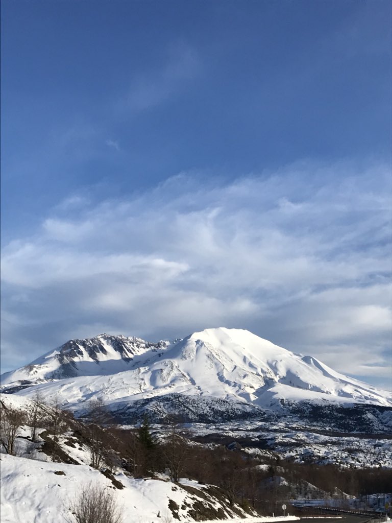 mt_stuart's tweet image. 