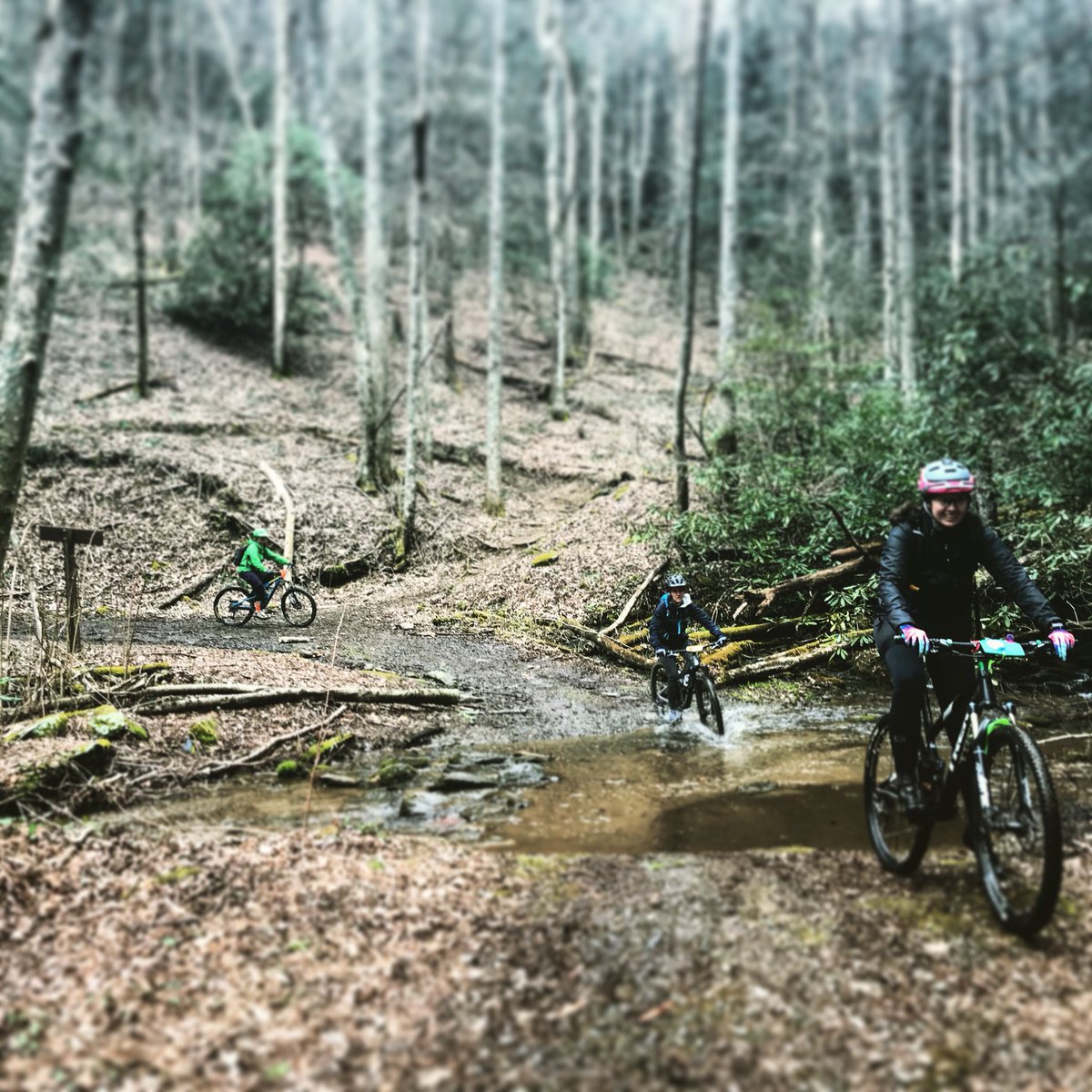 CampsideSession's tweet photo. Creek crossing on Bear Creek, our participants rode them all! 🚵🏽‍♀️💚
#campsidesessions #trailride #creek #creekcrossing #mtb #mtbike #mountainbike #womenempowerment #womenwhoexplore #adventure #liveadventurously #mulberrygap #adventuretravel @sheridesdirty @DNKPresents https://t.co/3K0RlWft7W
