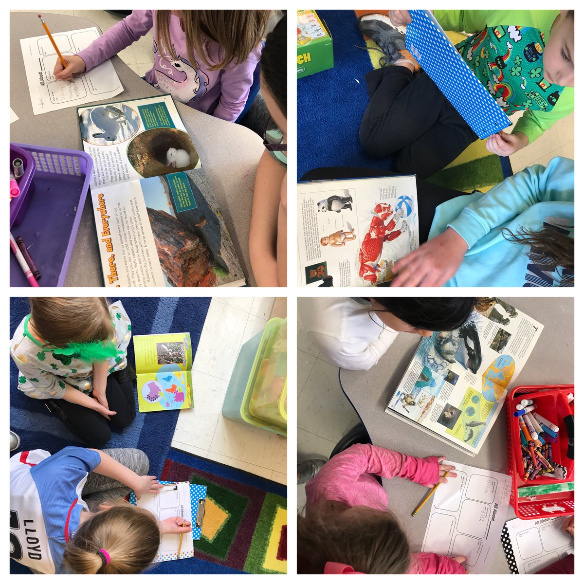 Almost ready to open the zoo!   Special thanks to our 5th grade friends for helping us learn about researching #LATIinK #imthezookeeper <a href="/grade5CG/">Grade 5 TEAM</a> <a href="/CenterGroveES/">Center Grove</a> <a href="/Soldisays/">Danielle Soldivieri</a>