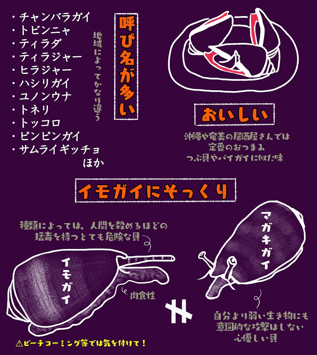 全日本マガキガイ協会 Magakigai Info Twitter 全日本マガキガイ協会 Magakigai Info Twitter