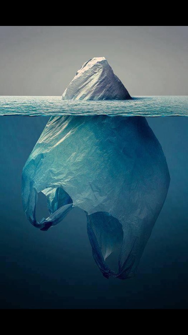 Гялгар уутнаас татгалзаж эх дэлхийгээ хайрлъя