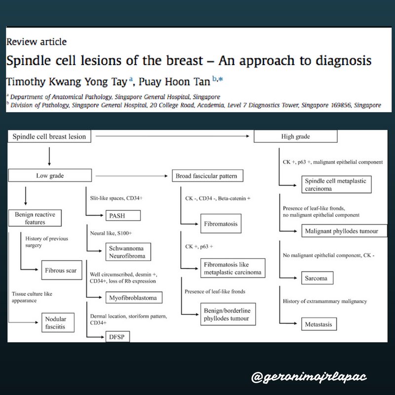 GeronimoJrLapac's tweet photo. #breastpath #pathology #pathclues https://t.co/yyFIRpW3Bg