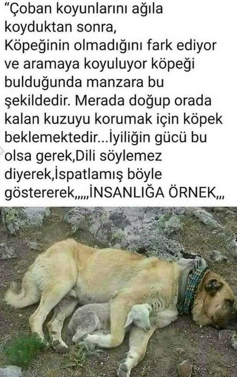 hayata dair cok KELIME tuketen bizlere, SUSUN ve DUSUNUN diyen bir kare olmus bu... 

@MUSA_TRN <a href="/ETemelkuran/">Ece Temelkuran</a> <a href="/HikmetCincin/">Hikmet Çinçin</a> <a href="/sozyerli/">Silva Özyerli</a> <a href="/ErtugrulGunay/">Ertuğrul Günay</a> #life #nature <a href="/YourAnonNews/">Anonymous</a> #world <a href="/AvGurkanKorkmaz/">Gürkan KORKMAZ</a> <a href="/AvEkremDonmez/">Ekrem Dönmez</a> <a href="/peta/">PETA</a>  <a href="/HAKANAKBAL21/">HAKAN AKBAL</a> <a href="/WWF/">WWF</a>  <a href="/HaytapOfficial/">Semtiemt</a> <a href="/kuzeyormanlari/">Kuzey Ormanları Savunması</a>