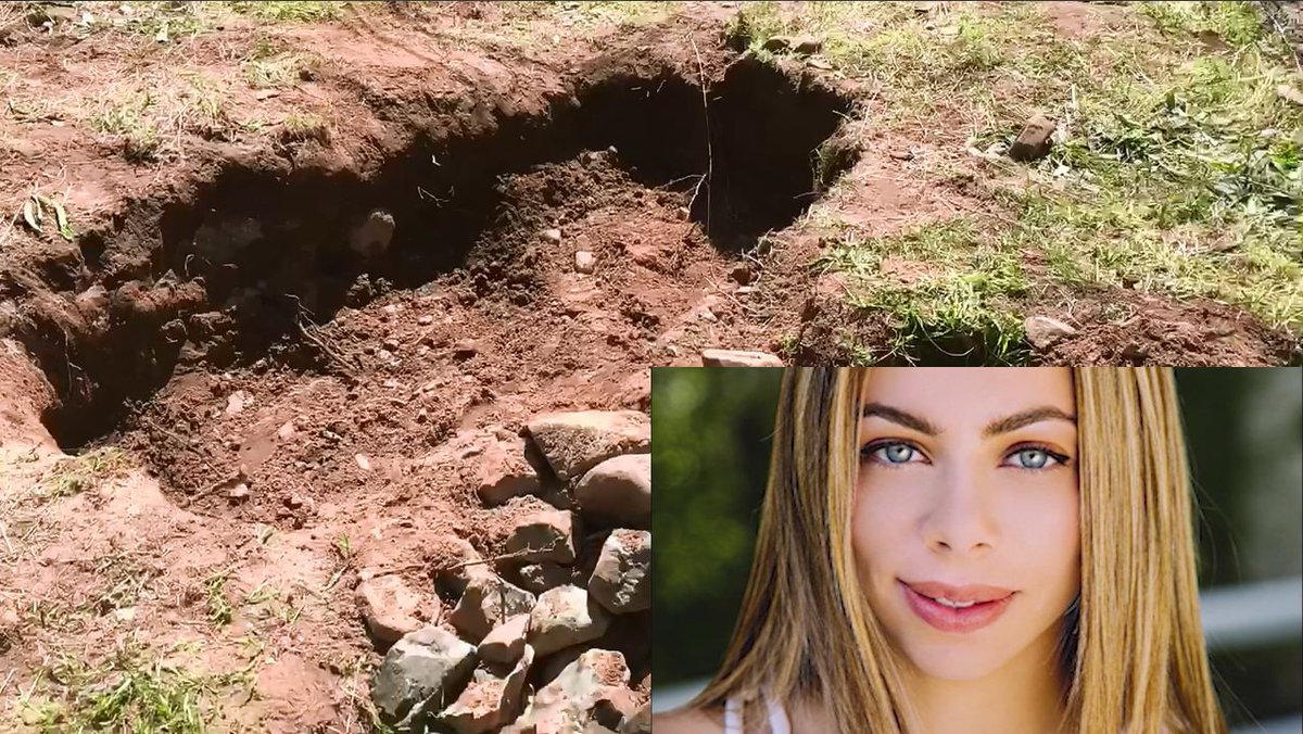 Adea Shabani Latest News, Breaking News Headlines Scoopnest