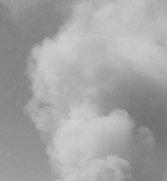 cleporati's tweet image. El juicio en La Haya ha sido una eficaz cortina de humo comunicacional del gobierno para disminuir el "ruido" en la opinión pública por los cambios al aborto tres causales, y hoy, la decisión del TC sobre el lucro en la educación. Problema? El juicio termina esta semana.