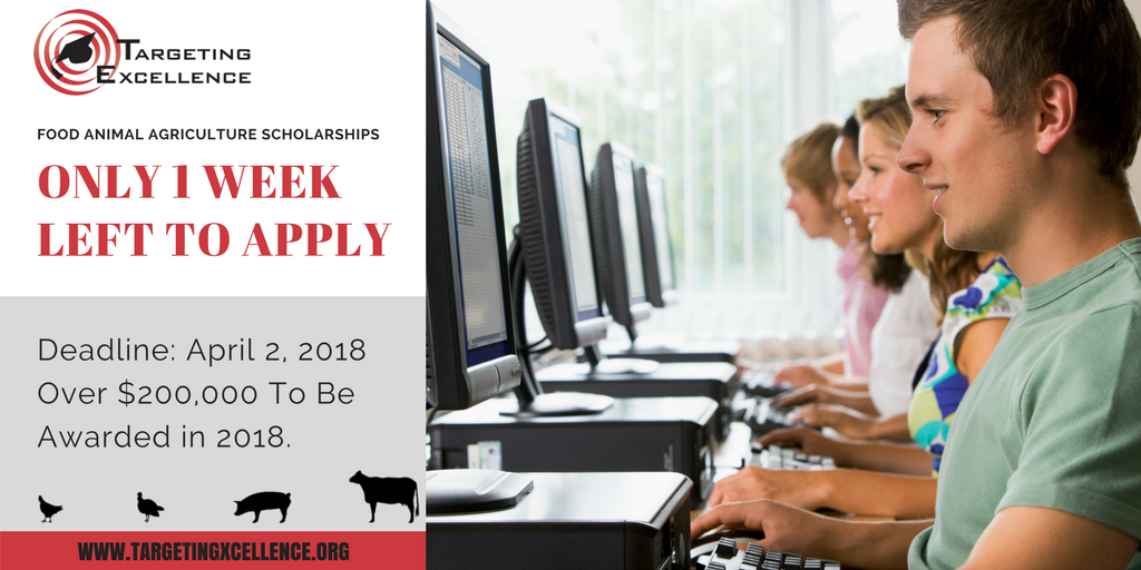 TargetingExcel's tweet image. Food Animal #ag students - don't forget to apply for a #TargetingExcellence #Scholarship.  The deadline is in 1 week on April 2, 2018. buff.ly/2E0mp8d