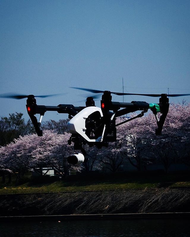 OpticalartsLab's tweet photo. 『Town of owl Navi ～ 池袋の街しるべ ～（久喜 遠征編）』「Inspireもお花見」

#Inspire #DJI #権現堂堤 #埼玉#幸手市 #花 #桜 #花見 #cherryblossom #sakura #sakura2018 
#TOKYO #JAPAN 
#Mister2jp #OpticalArtsLab #東京 #池袋 #Ikebukuro #縦型 #縦ジェニック https://t.co/pi1uDRBUrz https://t.co/9T0GqyitpO