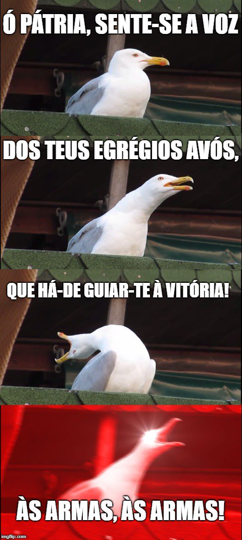 FloresEGin's tweet photo. Deus Pátria Família https://t.co/2ITjnPJXMO