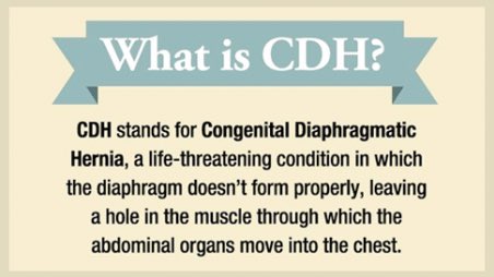 CdhStars tweet picture