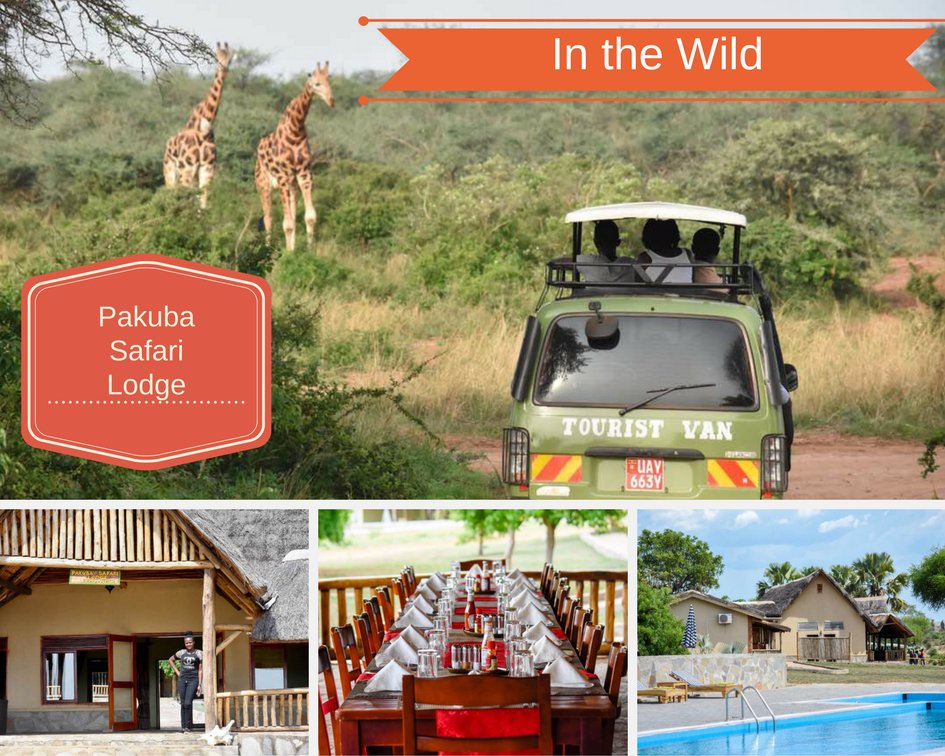 Pakuba Safari lodge tweet media