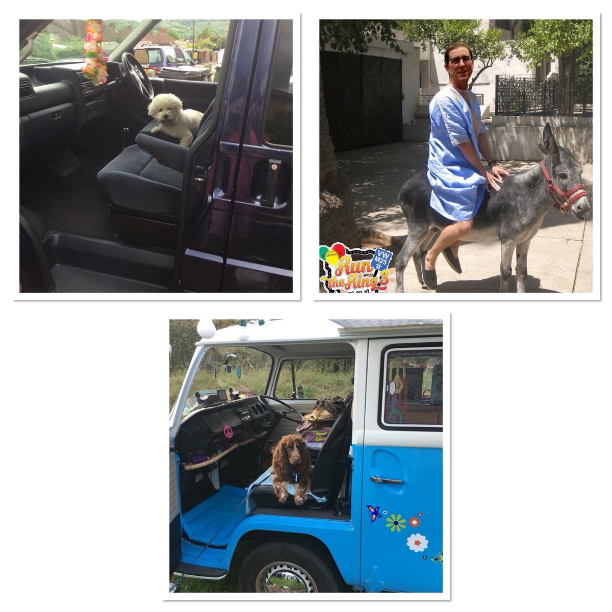 essexbugs's tweet photo. Its cold and rainy outside. But when you get back from the #dogwalking. Help support this fabulous #charity driving your #VW in aid of Brainwave. https://t.co/blx7VZ4pyB #Runthering #johnsring #ringersdogs #WisdomWednesday #WednesdayMotivation #vanlife #dogfriends #ringersdogs https://t.co/WCcmX1vpRL