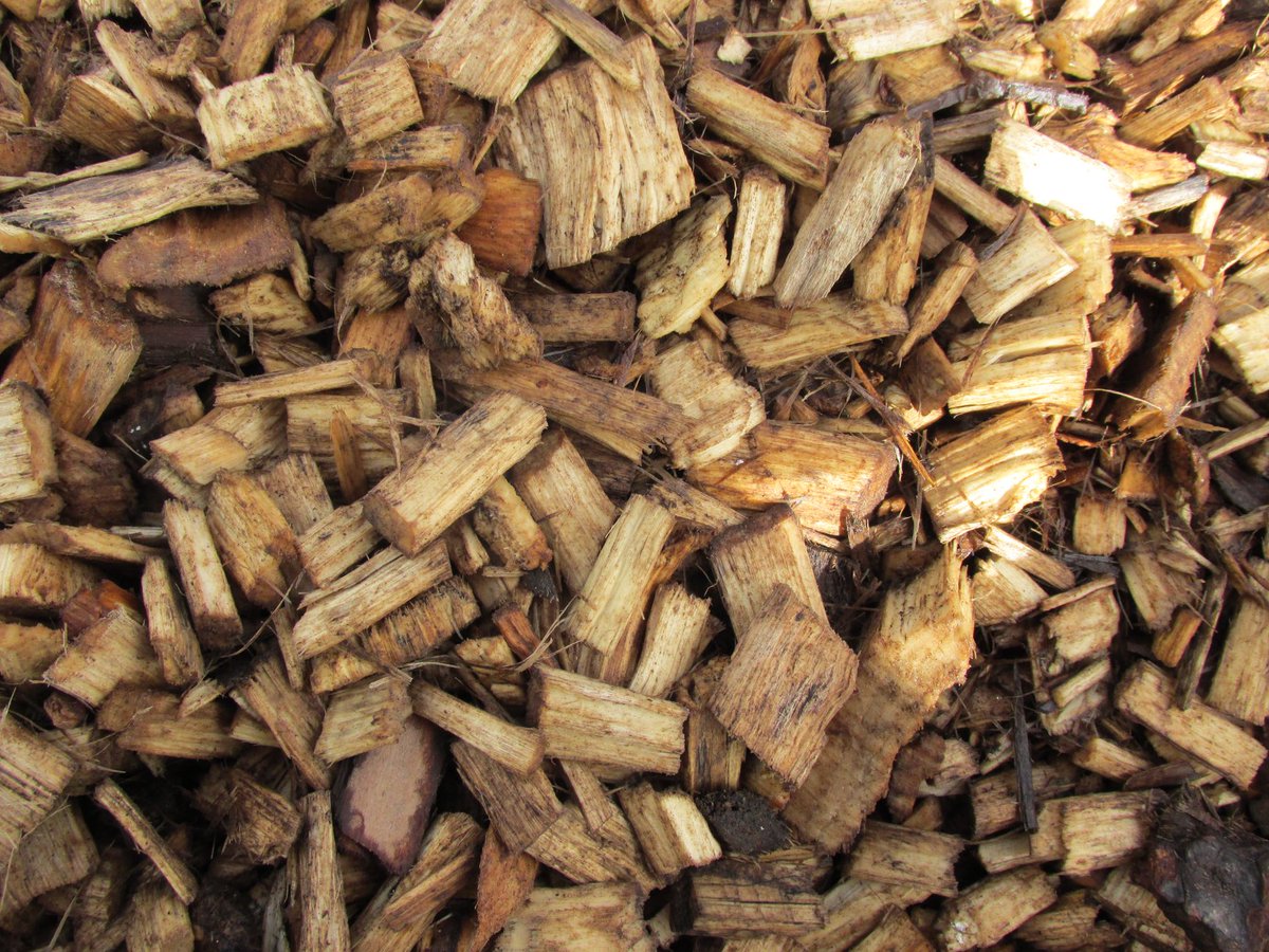 BSupplies's tweet image. NEW IN!
Playchips bulk bags. Ideal for outdoor play areas &amp;amp; pathways, easy to install and maintain and extremely cost effective. #notjustforbuilders
Available in branch or to buy online:
🛍️ bswc.biz/online-store
📍 bswc.biz/branch-locator
📞 01253 776600
 📧 sales@bswc.biz