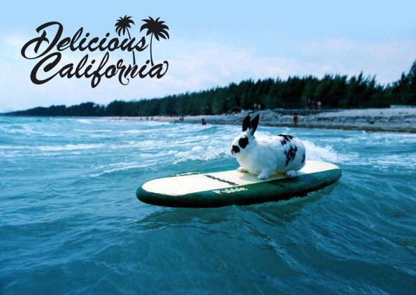 DCalifornia1's tweet image. FOLKESTONE POP UP !DC surfstyle clothing CO  back in Folkestone this easter .Popup opens Thurs -Mon old high street creative quarter.  20% off everything for all surfer bunnies @CQ_folkestone  #folkestone @SpottedFolkesto #@fstoneherald @folkestonefolk #folkestoneoldhighstreet