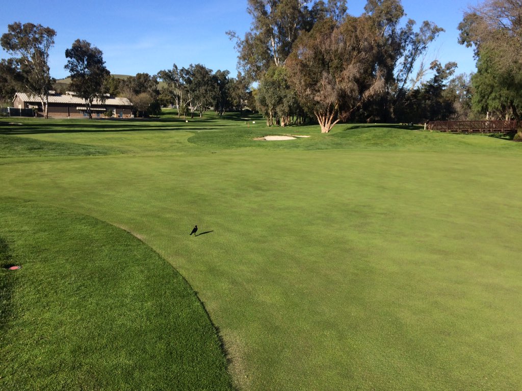 CondosMark's tweet photo. Aerification day at Las Positas Golf Course. Thanks for the tip
#thewakowskimethod ready for play tomorrow! https://t.co/YzCInZOErK