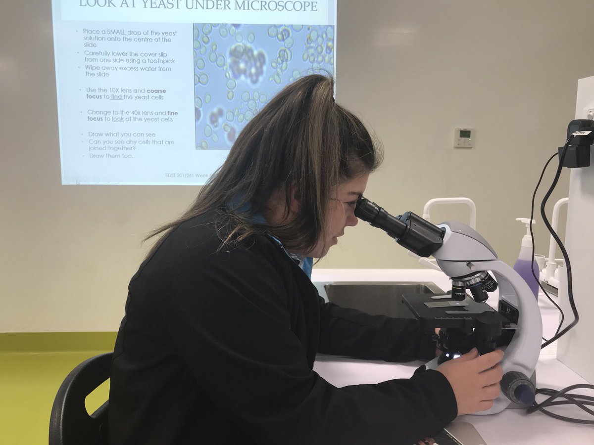 Sarah Whalan tweet media