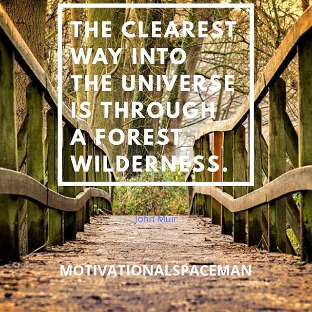spacemotivate's tweet photo. #motivationalspaceman #motivationalquote #motivational #motivation #behappy #positive #outdoors #wood #vertical #architecture #tree #nature #text #abandoned #grass #fence #horizontalplane #old #flora #leaf #house #stateofabsence #bridge #absence #rustic #travel #tags #ultral… https://t.co/cWYdQLYibp