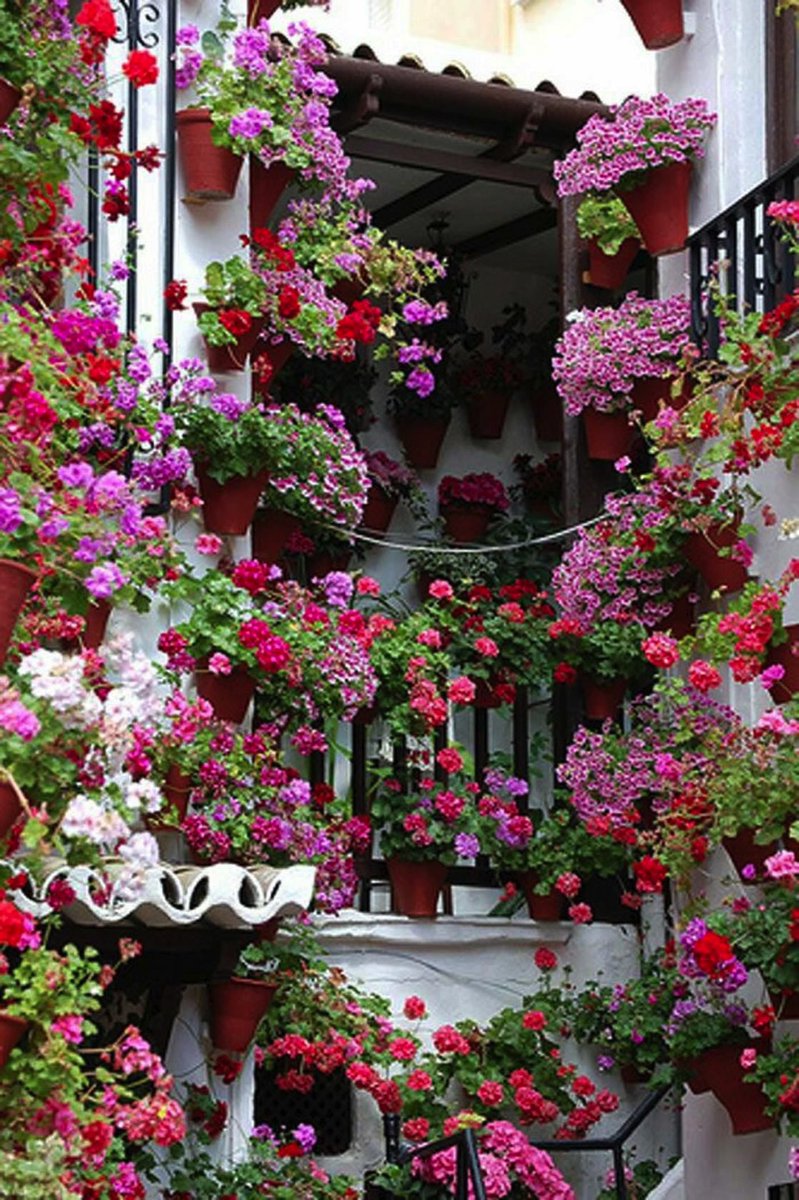 Flowery Courtyard in Cordoba, Spain.🇪🇸