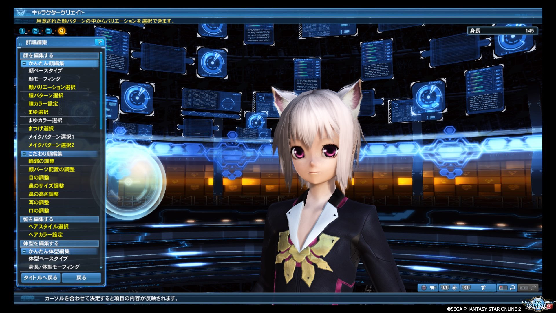 ゆーつ 一応pso2ハガル民 オフラインキャラメイクで 初期パーツでどこまで可愛く作れるかやってみました デフォルメ顔もやっぱり良いですよ W ノ Pso2 Pso2ss Pso2キャラメイク デフォルメ顔 猫耳 T Co 4wptmzi1br Twitter