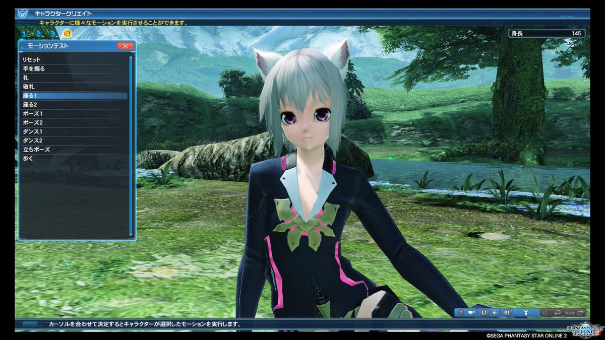 最高のpso2 可愛い キャラ レシピ すべての動物画像