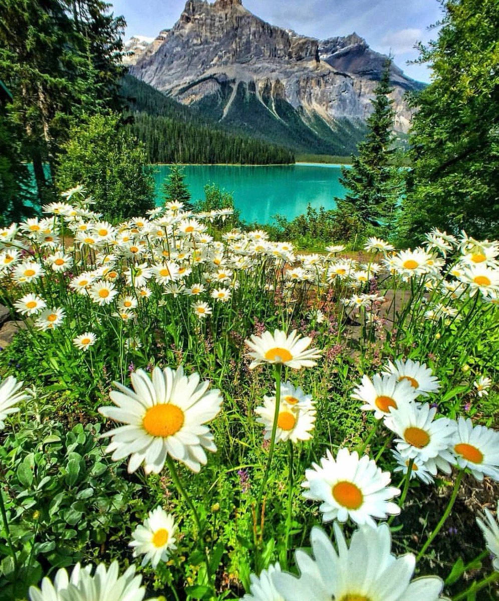 Emerald Lake, Canadá.🇨🇦