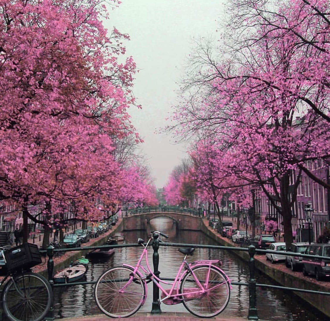 Amsterdam, Netherlands.🇳🇱