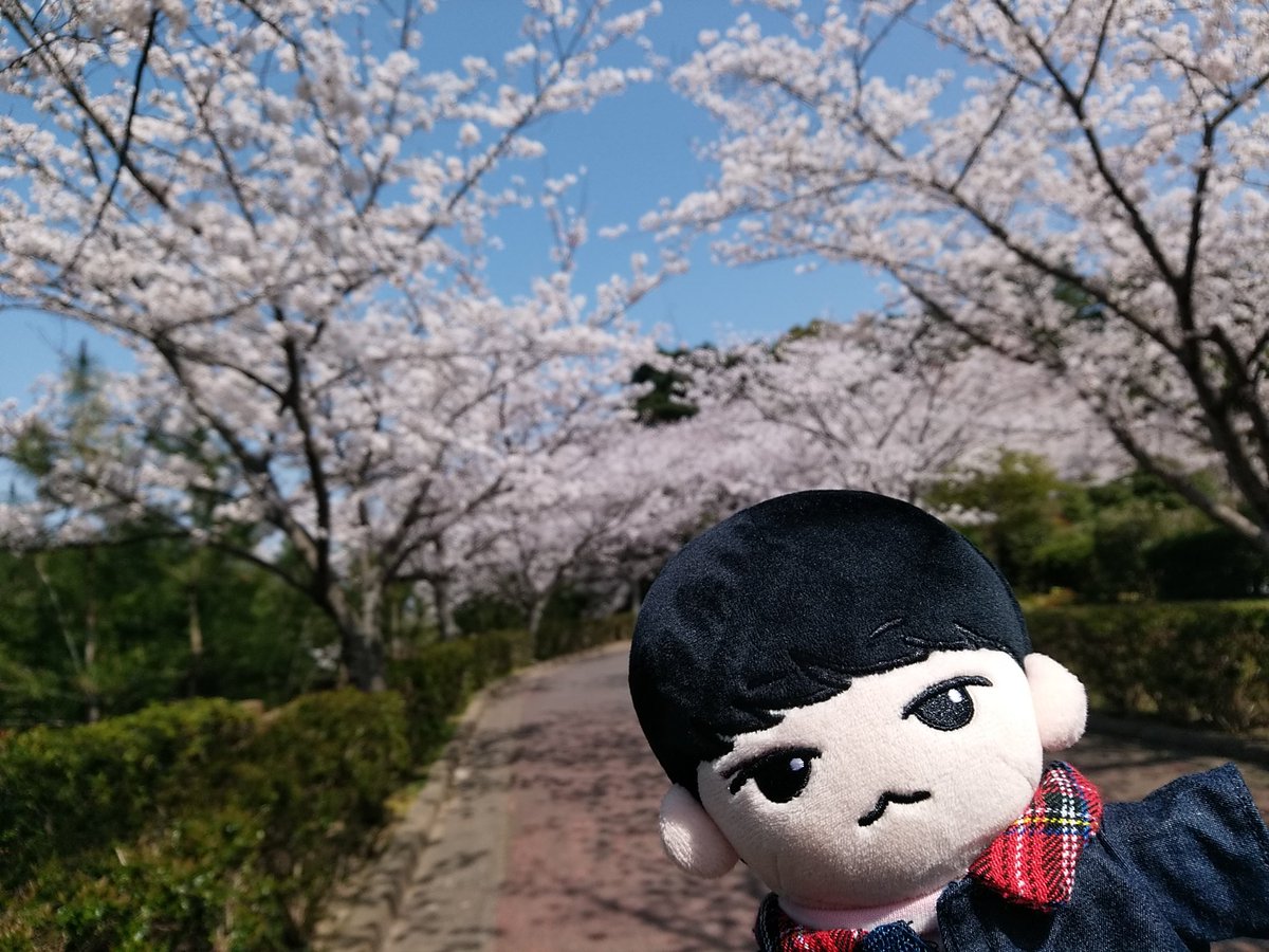 s_park7012's tweet photo. お花見🌸 3
#SEVENTEEN #SVT #세븐틴 #svtdoll #세븐틴인형 #순도리 #지훙이 #원뭉이 https://t.co/21KHpk1CCu
