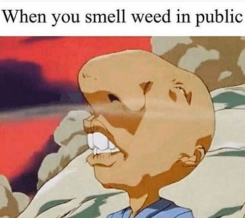 HIGH_TIMES_Mag's tweet photo. 👃👃👃 https://t.co/Pc4bU6baVn