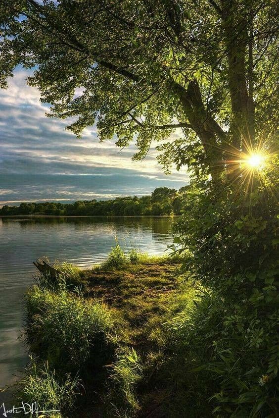 Lorena sets up a small trap in hope of catching a dinner for tonight and sits under a tree, waiting. She loved to watch water, it didn't matter river or lake. It brought calm to her.