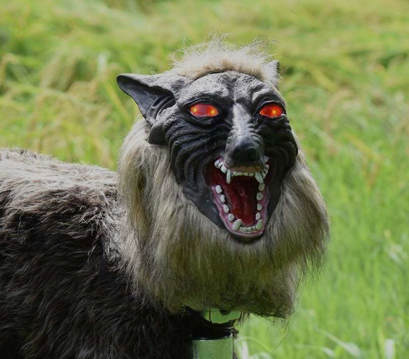 wef's tweet image. This terrifying #robot wolf is protecting the crops of Japanese farmers wef.ch/2Dj0bhD