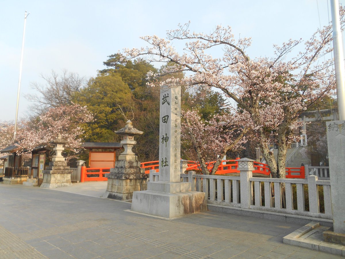 ট ইট র 山梨県庁 春がやってきました 甲府市の武田通りは桜 が満開です さらに 地域の皆さんが心を込めて育てた菜の花が春をいっそう感じさせてくれます 甲府駅から武田神社まで続く桜並木の中をのんびりとお散歩でもいかがでしょうか kz ট ইট র 山梨県庁 春がやってきました 甲府市の武田通りは桜 が満開です さらに 地域の皆さんが心を込めて育てた菜の花が春をいっそう感じさせてくれます 甲府駅から武田神社まで続く桜並木の中をのんびりとお散歩でもいかがでしょうか kz