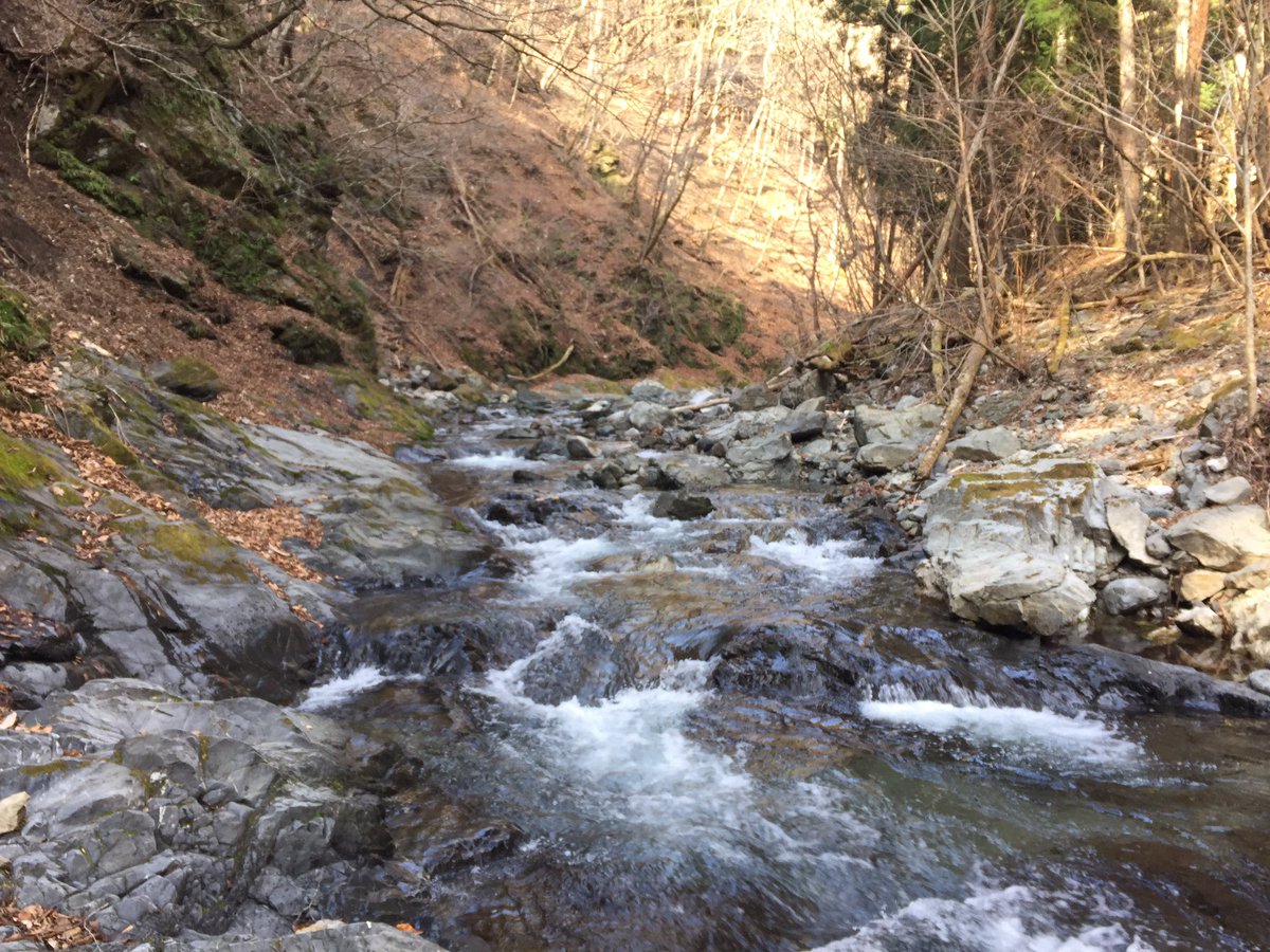 アカ戻し鱒 半年ぶりの秩父釣行は大満足 小鹿野町の小森川 薄川とやって 泣き尺イワナ ヤマメと出会いました
