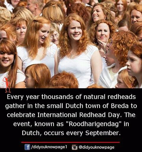 Pamela Johnson (@pamelamjohnson4) on Twitter photo 