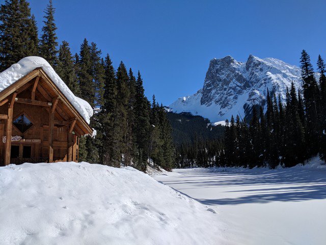 pacbackgear's tweet photo. This month's Tent Talk is up! 🏕️🌲Check it out via the link in our Bio 🏔️ We didnt have a tent photo for this week, so hopefully this cozy cabin will do! 
#PackLessEnjoyMore https://t.co/NetbTIv4YA