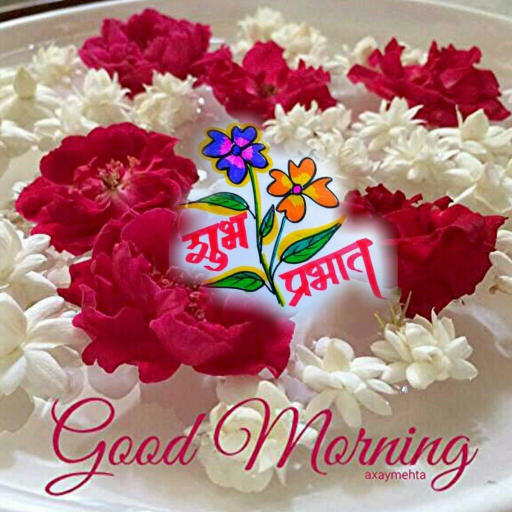 Siddharth Shah On Twitter Good Morning Good Afternoon Jai