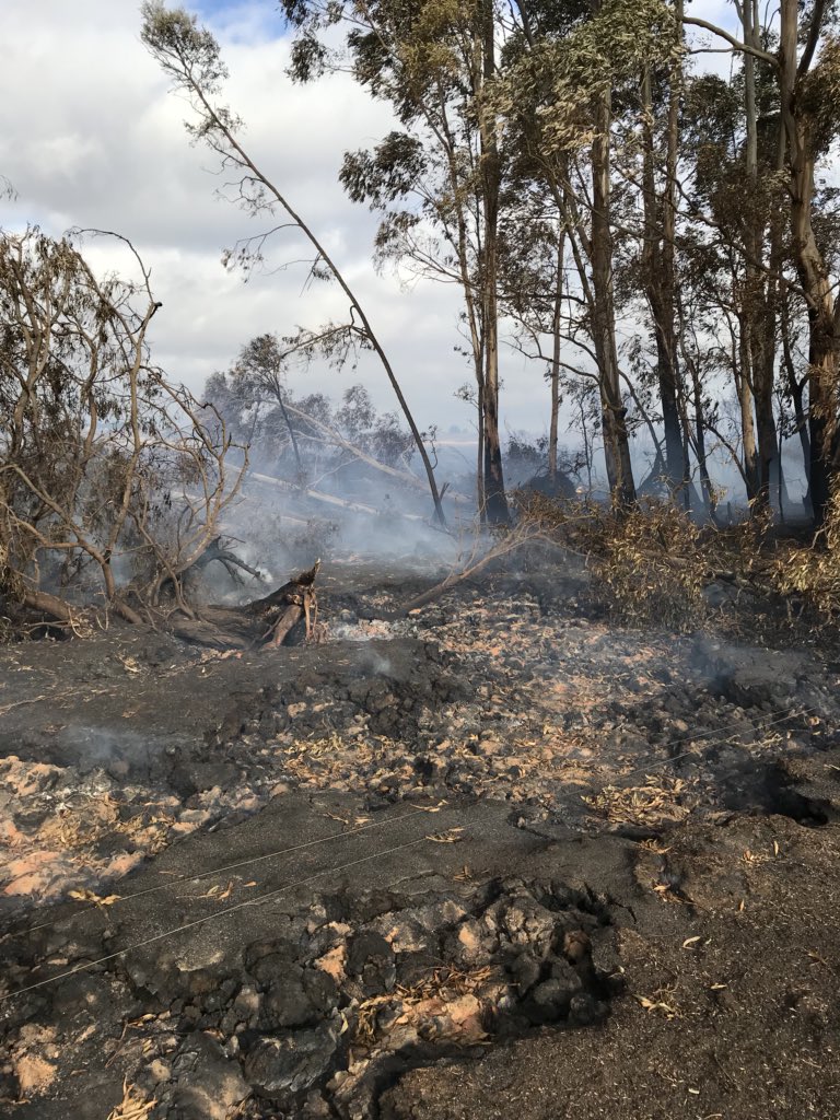 rohankeert's tweet photo. Lake Elingamite peat fire @james_oaten https://t.co/iUvFAo6dnX