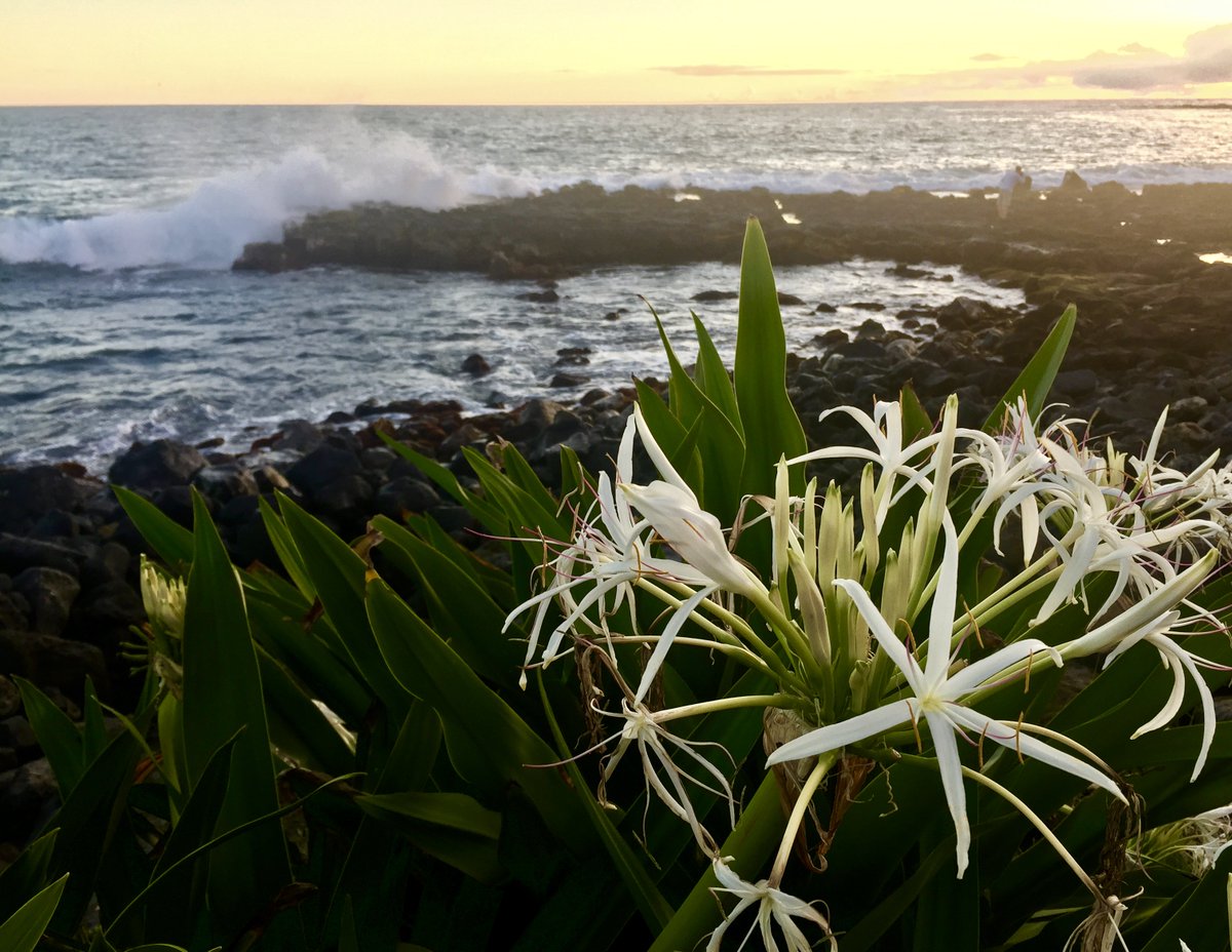 Boswell Emergency Medical Education (PassTheCEN) Twitter