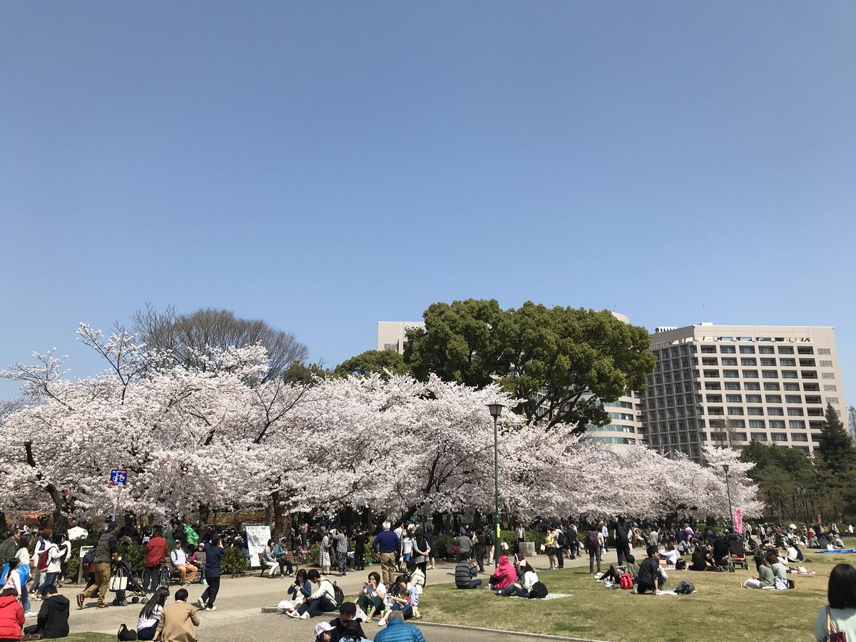 Z I P F M 7 7 8 M H Z A Twitter いよいよ明日から鶴舞公園でお花見ステーション 公開放送 イベントでお待ちしています